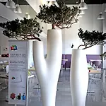 Ibis Styles Gare Centre Nîmes