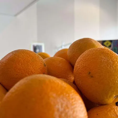 Ibis Styles Gare Centre מלון נים